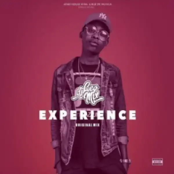 Dj Leo Mix - Experience (original Mix)
